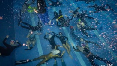 Photo of Что представляют собой курсы фридайвинга Молчанова